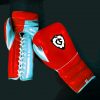 Grant Boxing Gloves-Carry Sports. Made in Pakistan