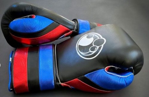 https://carrysports.com/wp-content/uploads/2020/06/Custom-Grant-Boxing-Gloves-Hook-and-Loop-Gloves-16oz-12-oz-14oz-3-e1643888824289.jpeg
