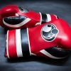 Grant Worldwide Training Boxing Gloves Hook and Loop